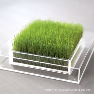 Custom Acrylic Box for Grass